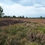 Holiday home 4 Person In Hovborg-by Traum *